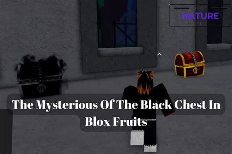 Find The Mysterious Black Chest In Blox Fruits - The Nature Hero