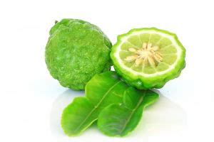 The Weight Loss Benefits of Bergamot Essential Oil