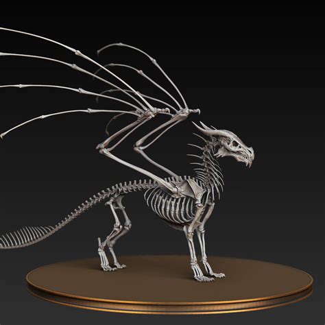 ArtStation - Dragon skeleton anatomy study, Peter Bara