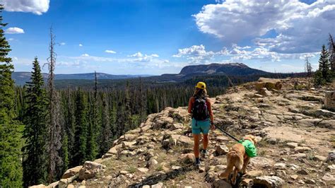 Best Day Hikes | Park City, UT