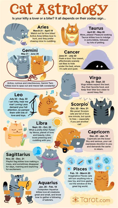 Cat Astrology: Traits by Zodiac Sign | Tarot.com