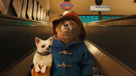 Paddington | Film-Rezensionen.de