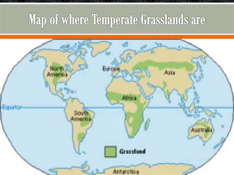 Exploring The Beautiful World Map Grasslands In 2023 - Map of Counties in Arkansas