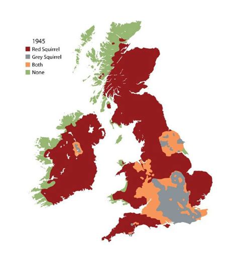 Where to find red squirrels - Red Squirrel Survival Trust