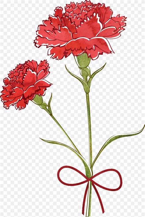 Carnation Flower Drawing Watercolor Painting, PNG, 4228x6324px, Carnation, Annual Plant, Art ...