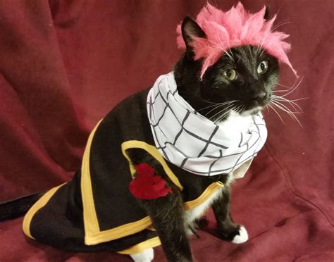 Cat Cosplay of the Feline variety. — cat-cosplay: “We can be going Meowster hunting...