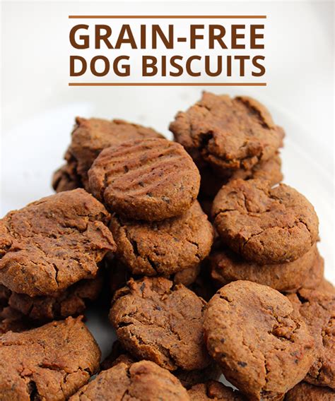 Healthy Dog Treat Recipe | Dog biscuit recipes, Dog treats grain free ...