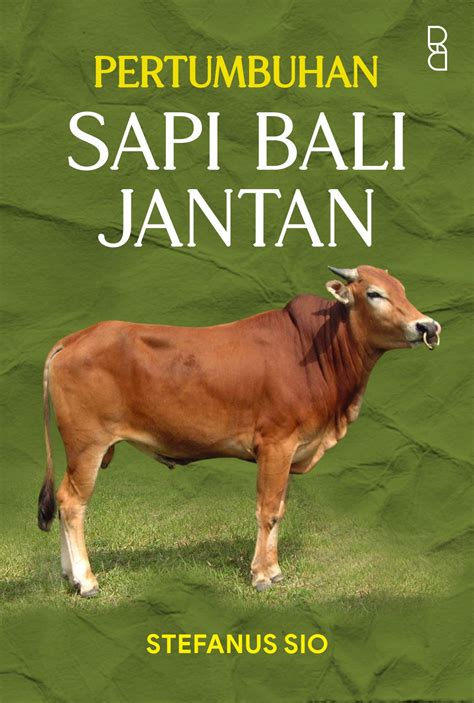 Pertumbuhan Sapi Bali Jantan 📗 Literatur.id