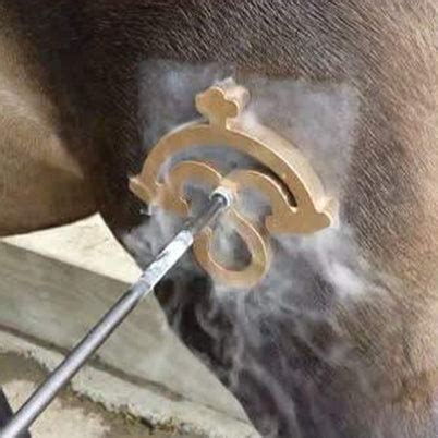 Freeze Brand - Custom made for Freeze Branding Cattle & Horse – LW CUSTOM WORKS