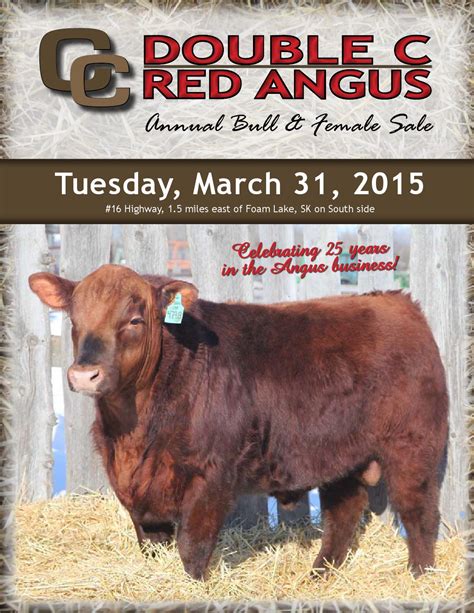 2015 double c red angus bull sale catalog final low res by Carolyn ...