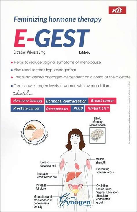 Estradiol Valerate Tablets 2 Mg at Rs 3500/box | Estradiol Tablets in ...