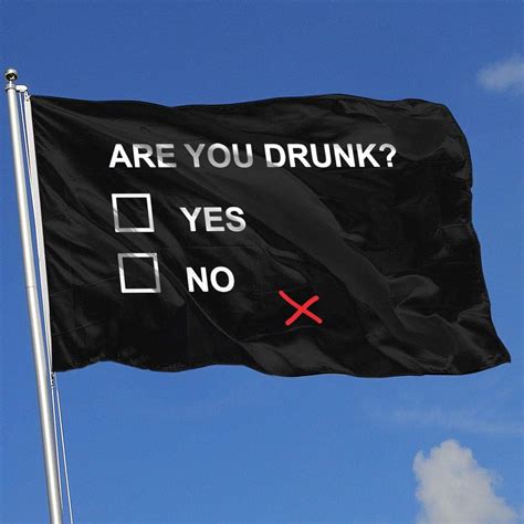 ZBGIGB are You Drunk Funny Beer Drinking 3x5 Foot Flags Outdoor Flag 100% Single-Layer ...