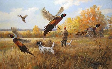 🔥 [100+] Pheasant Hunting Wallpapers | WallpaperSafari