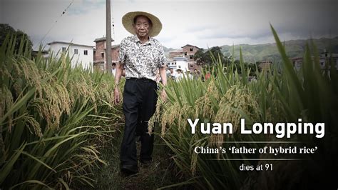 Yuan Longping, China's 'father of hybrid rice,' dies at 91 - CGTN