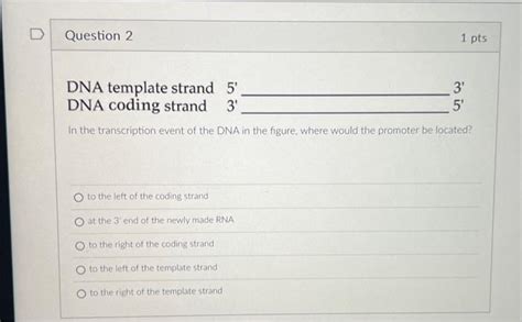 Solved DNA template strand 5′ DNA coding strand 3′ 3' 5′ In | Chegg.com | Chegg.com