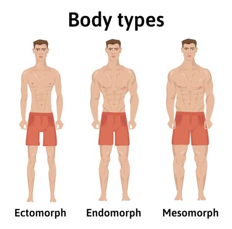 Cuerpo ectomorfo: características y ejercicios - Blog FITFIU Fitness