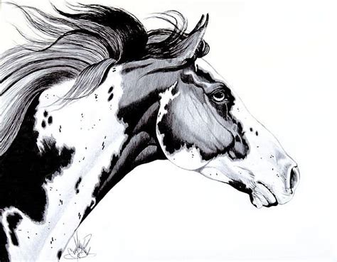 Horse Art Drawing, Horse Sketch, Horse Art Print, Horse Artwork, Horse ...