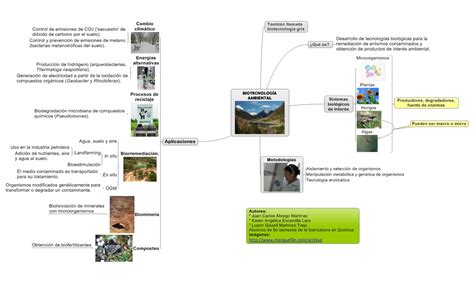 Biotecnología ambiental