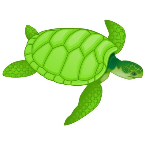 Green sea turtle vector clip art | Free SVG