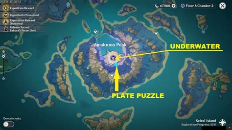 Amakumo Peak Underwater Puzzle: 2 Luxurious Chest & Hidden Achievement ...