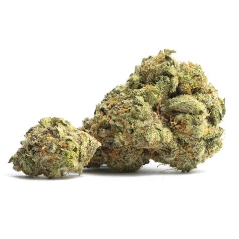 Blue Raspberry Strain - Indica Dominant - Collective Cannabis