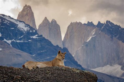 Parc Torres del Paine - Voyages en Patagonie