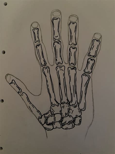 Skeleton Hand Pen Art | Skeleton hands drawing, Easy drawings, Pen art