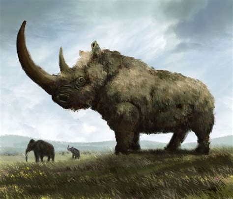 Woolly Rhinoceros by Mihin89 | Prehistoric animals, Prehistoric world, Prehistoric wildlife