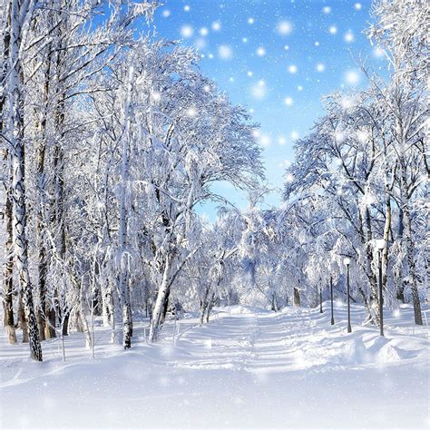 Kate 10x10ft Winter Snow Photography Background New Year Theme Photo ...