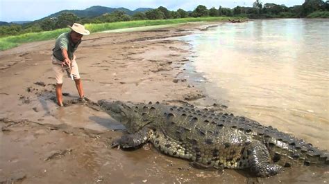 Crocodile attacks man - YouTube