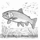 Trout Coloring Pages  Free & Printable sketch template