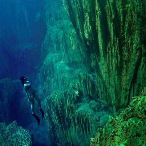 @Regrann from @freedivingcoron - Great great walls of the Barracuda Lake. Location: #Coron # ...