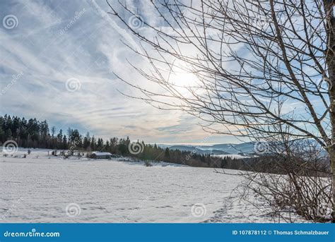 Snow Covered Landscape of Bavarian Forest with View To the Alps, Bavaria, Germany Stock Photo ...