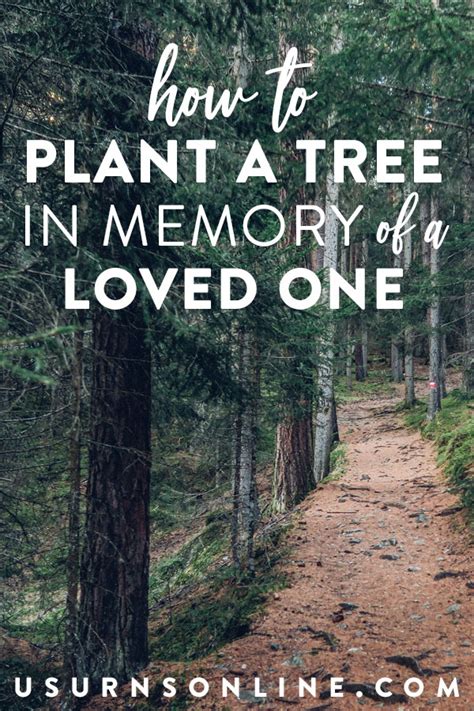 How to Plant a Tree In Memory of a Loved One » US Urns Online