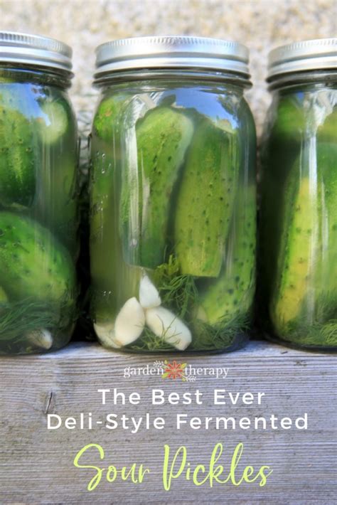 The Best Ever Deli-Style Sour Pickles Recipe. Ever. Seriously. - Garden ...