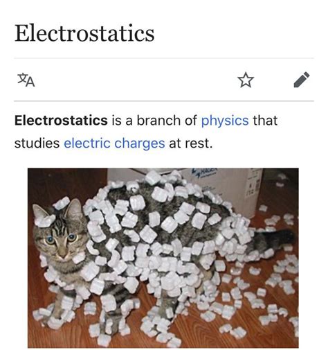 Physics cat wishes he paid more attention in E&M : r/physicsmemes