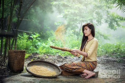 Beautiful girl winnowing rice separate Photograph by Sasin Tipchai - Fine Art America