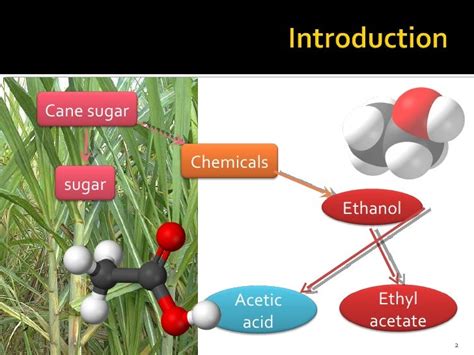 Effect of Temperature Control on Acetic Acid Production