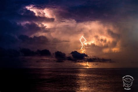 Lightning storm over the ocean. #seashepherd #ocean #storm #lightning # ...