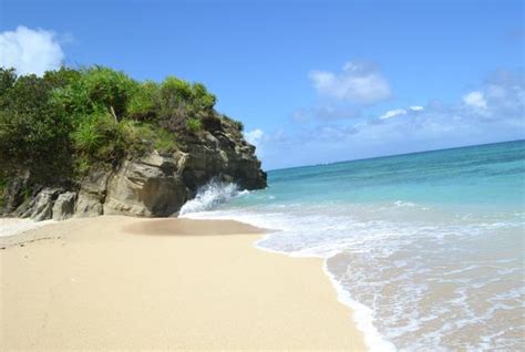 Pinamuntugan Island in Albay: A go-to white sand beach destination in Bicol