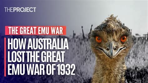 The Great Emu War: When Australia Declared War on its Feathered Foes - YouTube