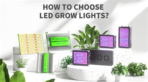 How To Choose LED Grow Lights – BESTVALED