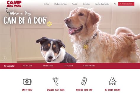 18 Best Pet Care Websites Design Inspiration 2024 - Colorlib