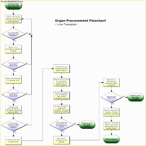 Word Flowchart Template Free Of Flow Chart Template for Powerpoint Word & Excel ...