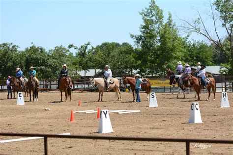 Horse Expo Etiquette - Western States Horse Expo