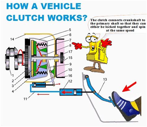 Vehicle Clutch Construction | Car Anatomy