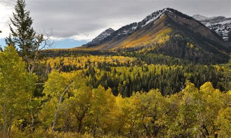 Wasatch Mountains, Range in Utah - AllTrips