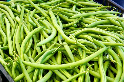 String Green Beans Free Stock Photo - Public Domain Pictures