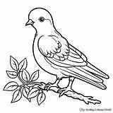 Peace Dove Coloring Pages  Free & Printable sketch template