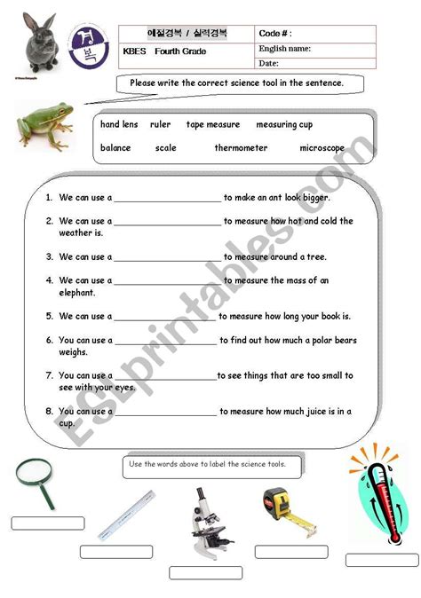 Science Tools - ESL worksheet by augustgray